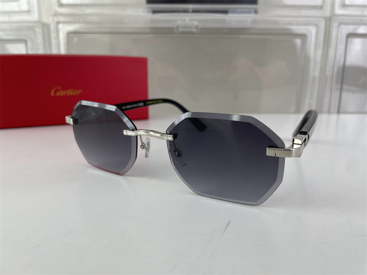 Cartier Purple Sunglasses with Clean glass cuts